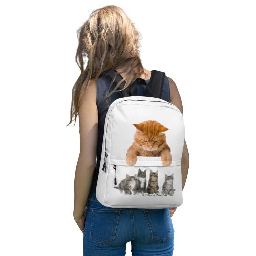 Accessoires et Maison Maine Coon Exclusifs - La boutique du Maine Coon