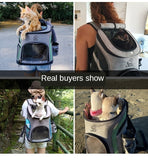 Grand sac à dos pour Maine Coon