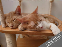 Arbre à Chat de jeux - Modèle: Copecito - Arbre à chats