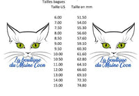 Bague pattes de chat arc en ciel | La boutique du Maine Coon
