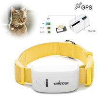 Collier GPS pour chat ou chien | La boutique du Maine Coon