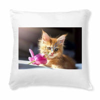 Coussin Chaton Maine Coon avec une fleur - Coussins | La boutique du Maine Coon