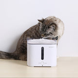 Fontaine de haute qualité de 2l pour chats - Fontaine