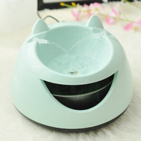 Fontaine oreilles de chat - Fontaine
