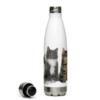 Bouteille en acier inoxydable Maine Coon - Gourdes pour 