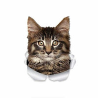 Sticker Tête de Maine Coon - Maine Coon / 30cm / 2 pieces -
