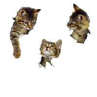 Stickers chatons en 3D trop mignons - Sticker | La boutique du Maine Coon