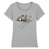 T-shirt 4 chatons Maine Coon - Gris / XS - T-shirt