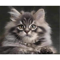 Tableau à peindre chaton Maine Coon - Tableau | La boutique du Maine Coon