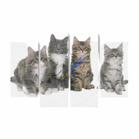 Tableau canvas 4 pièces chatons Maine Coon - 10 x 30 x 81 / 