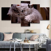 Tableau chaton Maine Coon | La boutique du Maine Coon