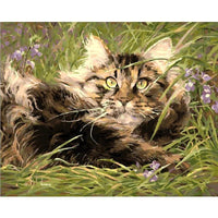 Tableau Maine Coon à peindre | La boutique du Maine Coon