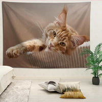 Tenture chat Maine Coon - 5 / 100x140cm - Tenture