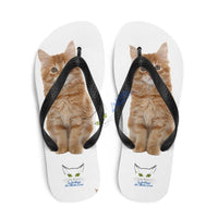 Tongs Chaton Maine Coon - Chaussures | La boutique du Maine Coon