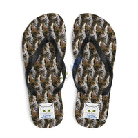 Tongs chaton Maine Coon | La boutique du Maine Coon