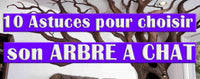 10 Astuces pour bien choisir son arbre à chat - La boutique du Maine Coon