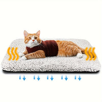 Coussin chaud pour chat