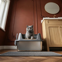 Bac à Litière XXL Chat 60x40 cm | Hauts Bords + Tapis Anti-Traces