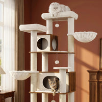 Arbre à Chat Maine Coon Balboa 210 cm | Premium Bois Noyer et Peluche