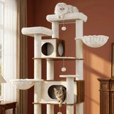 Arbre à Chat Maine Coon Balboa 210 cm | Premium Bois Noyer et Peluche