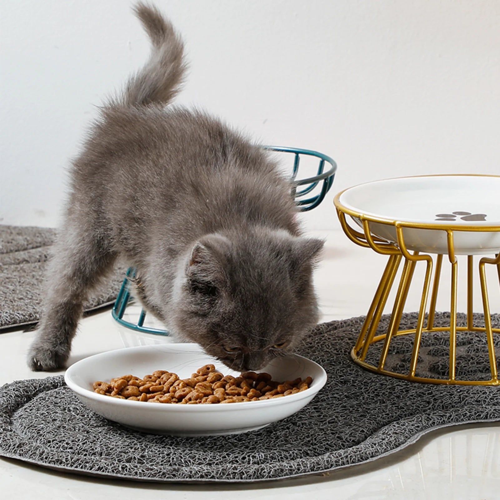 Ceramic cat bowl