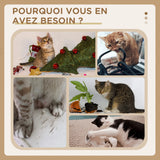 Arbre à Chat Veraguas 132 cm | Griffoir Stable Multi-Plateformes