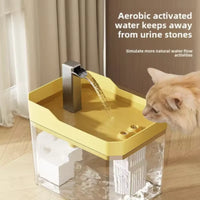 Fontaine d'eau pour chat à gros débit