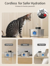Fontaine à Eau Sans Fil pour Chat