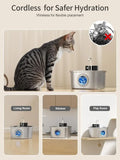 Fontaine à Eau Sans Fil pour Chat