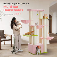 Arbre à Chat Câlin et Fun - La boutique du Maine Coon