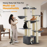 Arbre à Chat Câlin et Fun - La boutique du Maine Coon