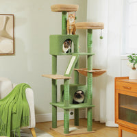 Arbre à chat Maine Coon 180 cm - Modèle : Cali - La boutique du Maine Coon