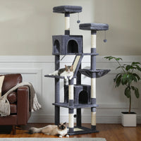 Arbre à chat Maine Coon 180 cm - Modèle : Cali - La boutique du Maine Coon