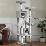 Arbre à chat Maine Coon 180 cm - Modèle : Cali - La boutique du Maine Coon