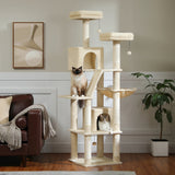 Arbre à chat Maine Coon 180 cm - Modèle : Cali - La boutique du Maine Coon