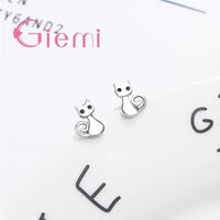 Boucles Chat Argent Étincelantes - La boutique du Maine Coon