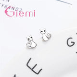 Boucles Chat Argent Étincelantes - La boutique du Maine Coon