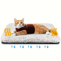 Coussin chaud pour chat - La boutique du Maine Coon