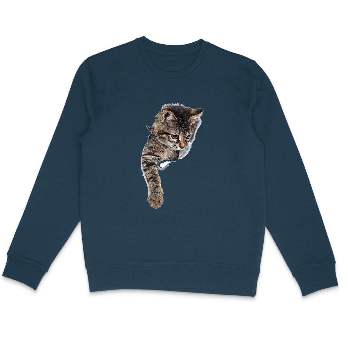Sweatshirt chaton qui sort sa patte effet 3D - face_3