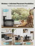 Fontaine à eau automatique 2.5L sur batterie – Eau fraîche pour votre animal partout, tout le temps - La boutique du Maine Coon