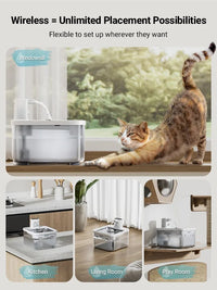 Fontaine à eau automatique pour chat 2.5L – Acier inoxydable & batterie longue durée - La boutique du Maine Coon