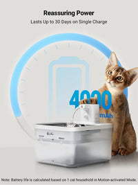 Fontaine à eau automatique pour chat 2.5L – Acier inoxydable & batterie longue durée - La boutique du Maine Coon