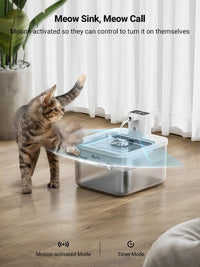 Fontaine à eau automatique pour chat 2.5L – Acier inoxydable & batterie longue durée - La boutique du Maine Coon