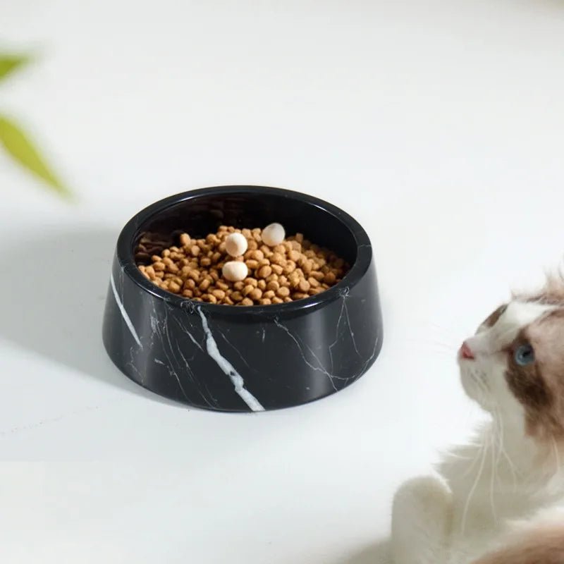 Gamelle en marbre pour chat - La boutique du Maine Coon