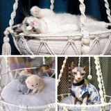 Hamac Douillet pour Chats - La boutique du Maine Coon