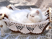 Hamac pour chat - Origine Nicaragua - La boutique du Maine Coon