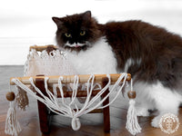 Hamac pour chat - Origine Nicaragua - La boutique du Maine Coon