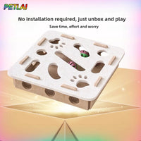 Jeu de Labyrinthe pour Chats