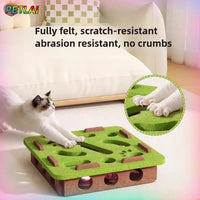 Jeu de Labyrinthe pour Chats