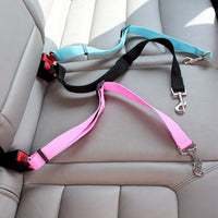 Laisse de voiture pour chat - La boutique du Maine Coon